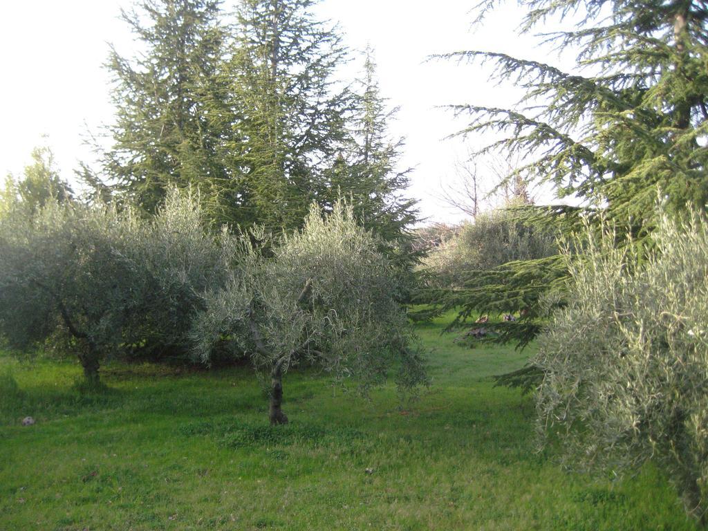Santa Maria di Licodia La Casa Del Cavaliereヴィラ 部屋 写真