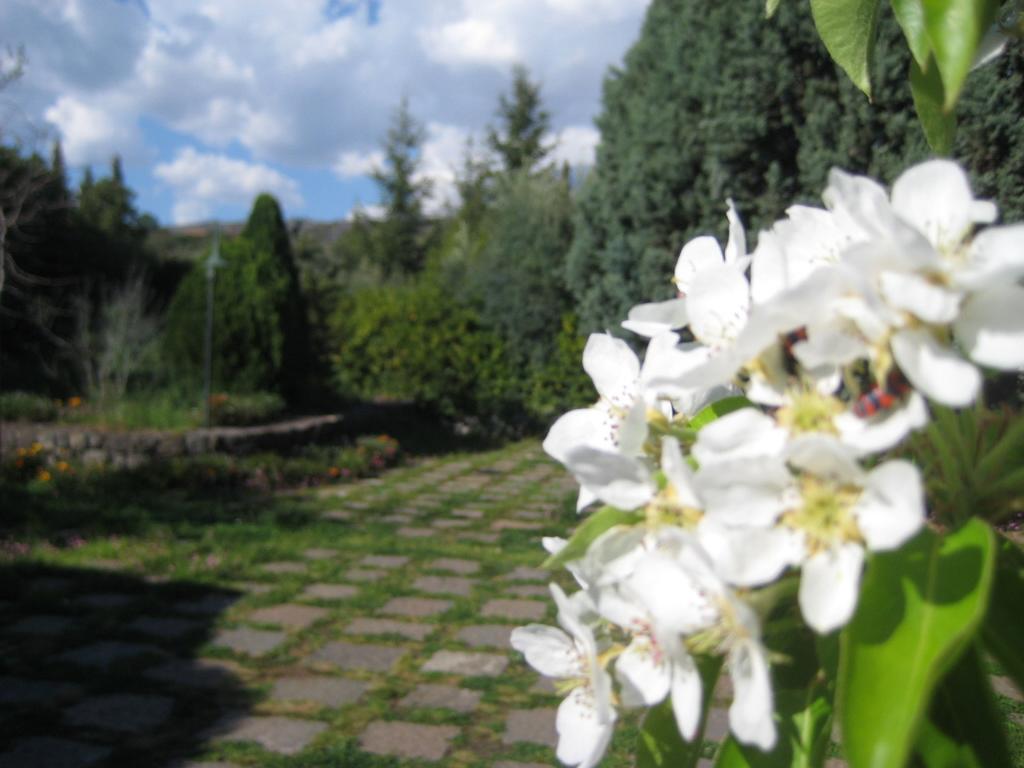 Santa Maria di Licodia La Casa Del Cavaliereヴィラ 部屋 写真
